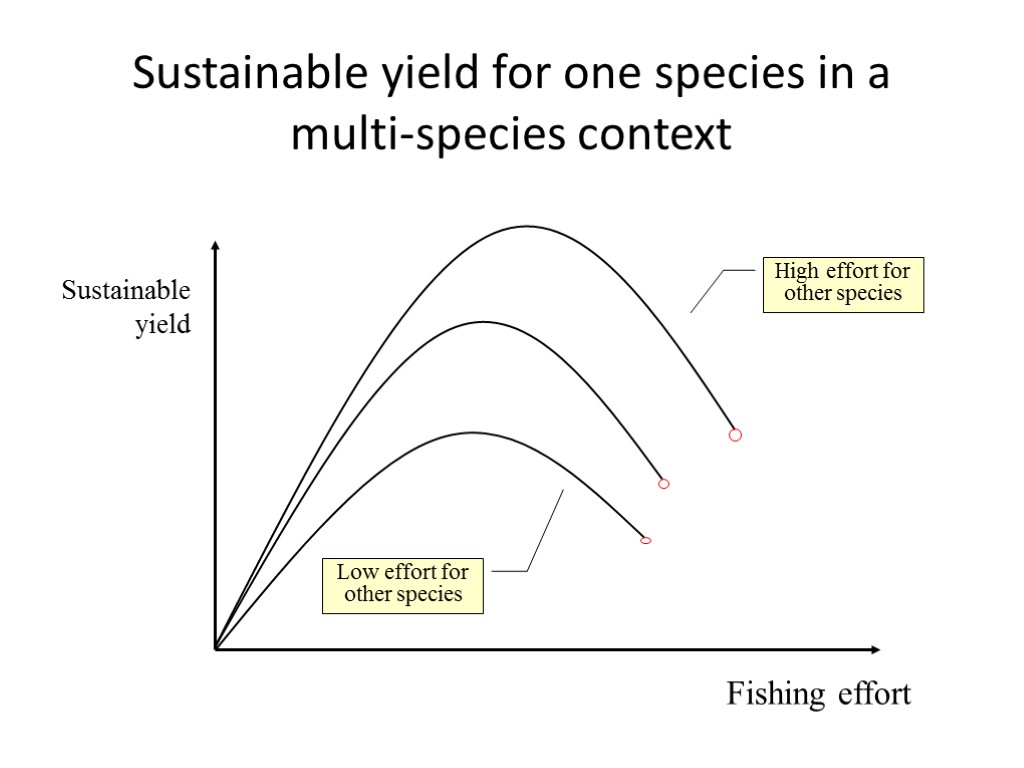 Sustainable yield for one species in a multi-species context Fishing effort Sustainable yield High